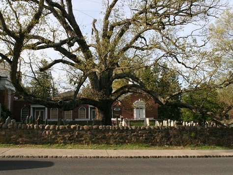 Landmark 600-year-old oak tree; this cemetery includes some Revolutionary War soldier graves